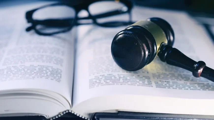 Legal framework supporting government policy, public welfare and social governance