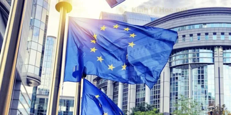 Things to know about proeuro